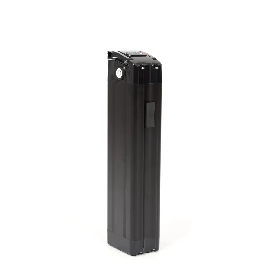 myv-lo-rio-palma-e-bike-akku-48v-950wh-gen-3 image 1
