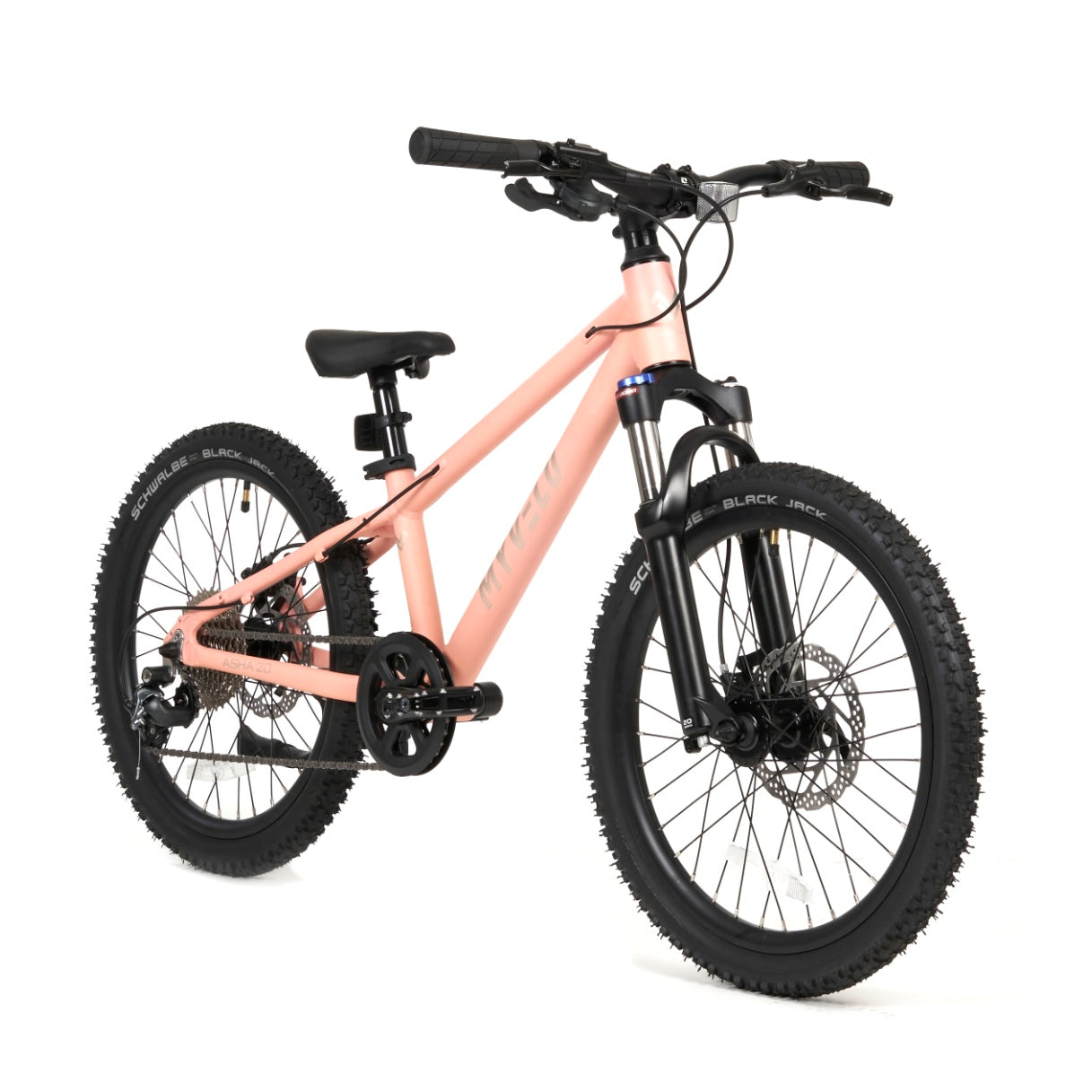 myv-lo-asha-20-kinder-mtb-fahrrad-schwarz-mit-shimano-10-gang image 1