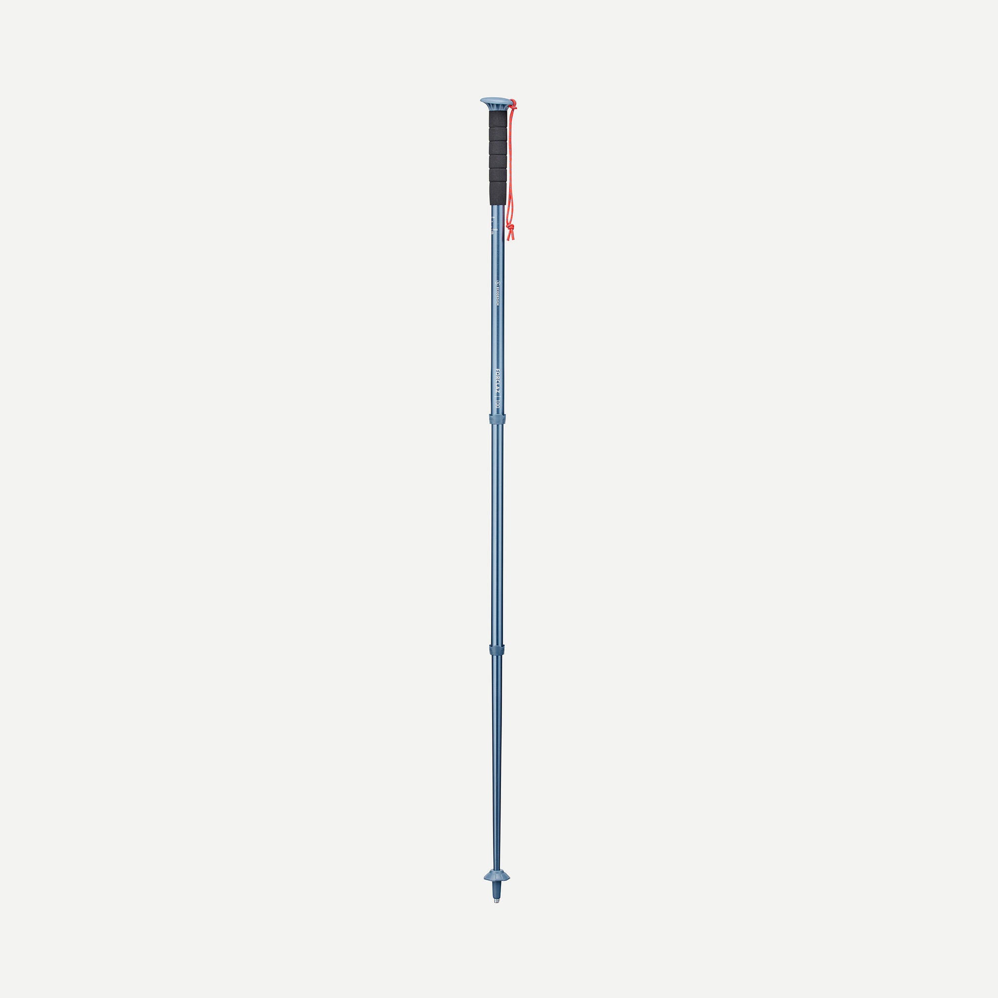 forclaz-mt100-wanderstock-alu-blaugrau-verstellbar image 1